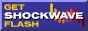 shockwave flash